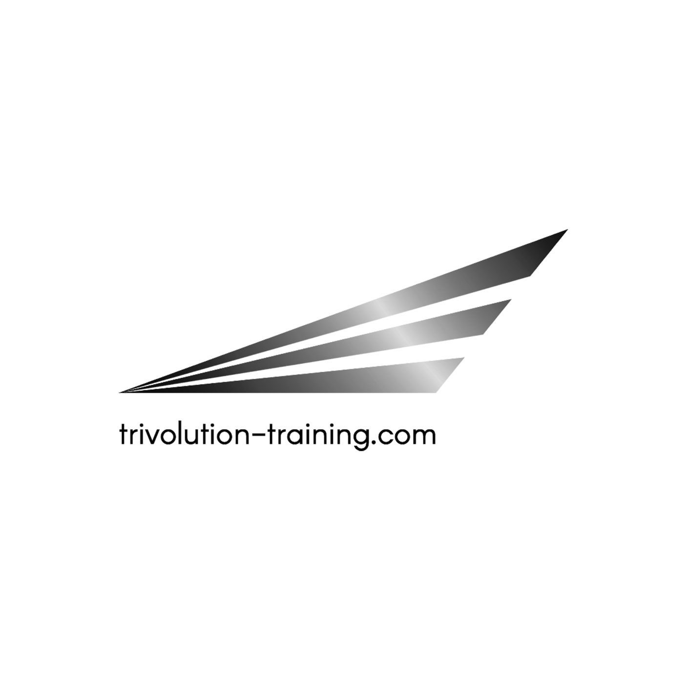 Trivolution Training